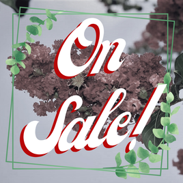On Sale!